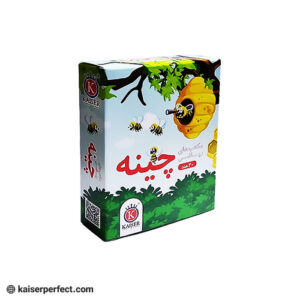 چینه آموزشی کایزر SK520
